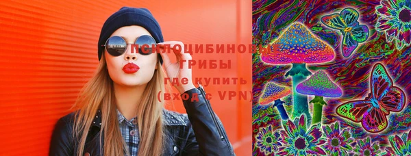 apvp Богданович