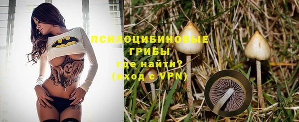 прущий лед Бронницы