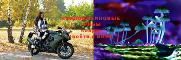 прущий лед Бронницы